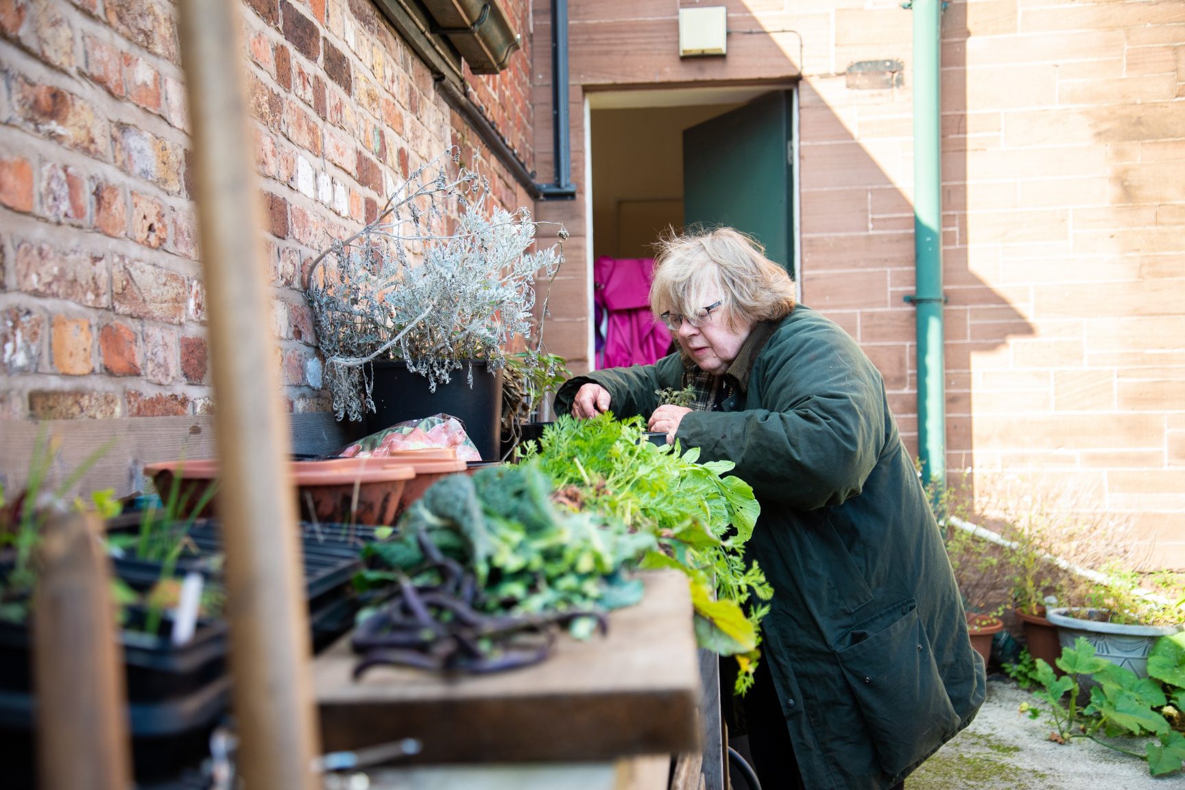 Older person looking through plants and vegetables