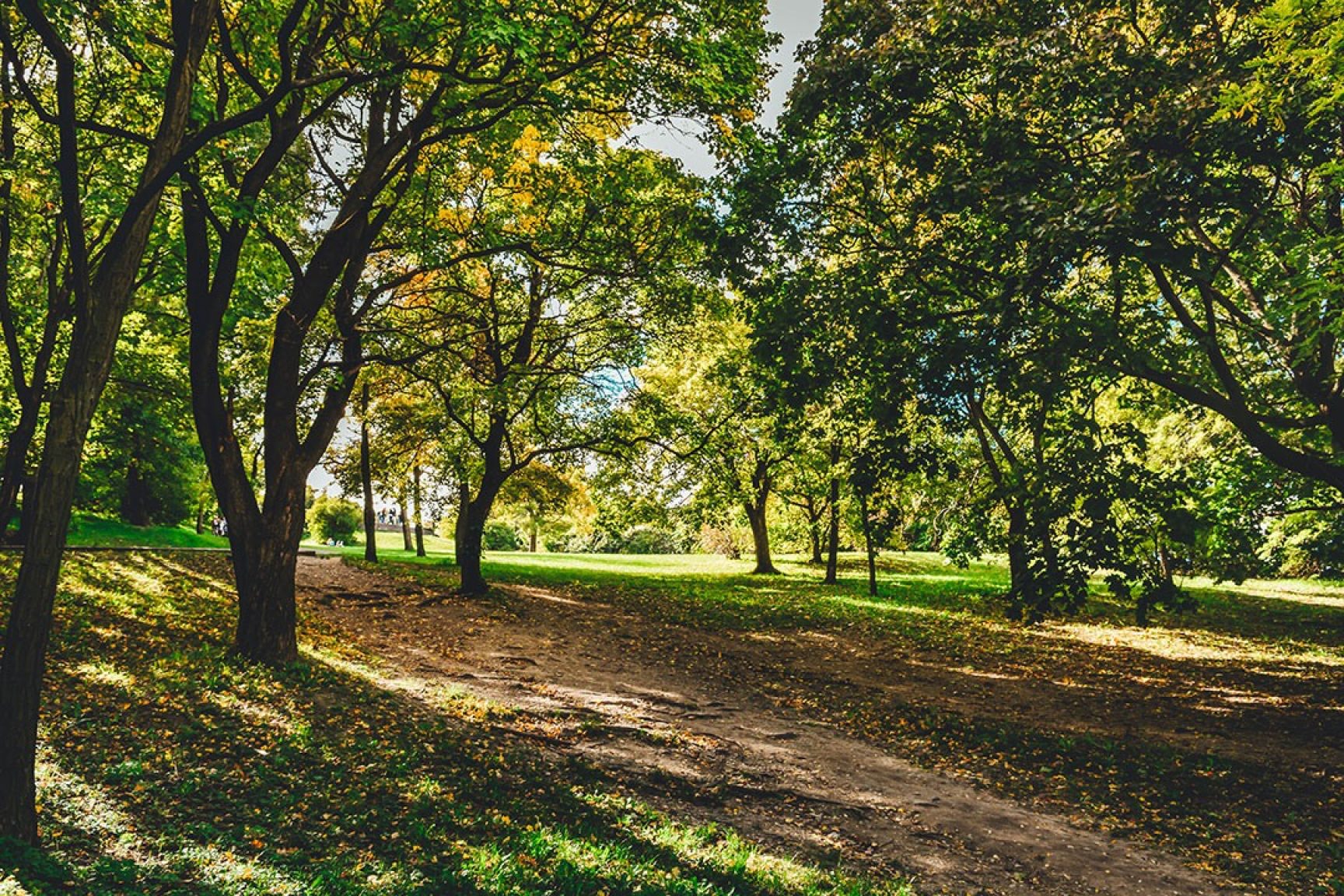 A park with lots of trees next to a footpath. It's shaded from the sun by the tree canopy.